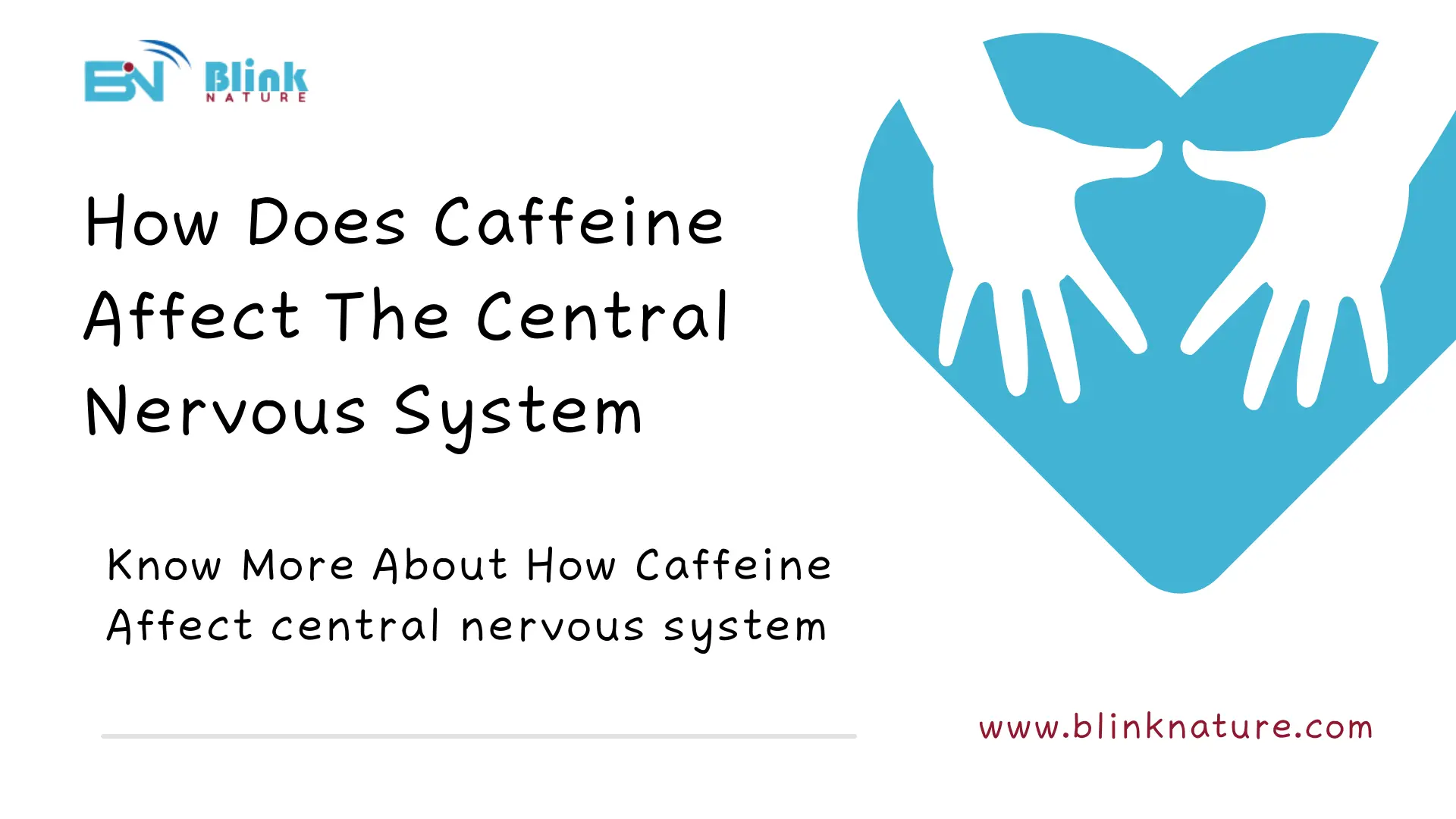 How does caffeine affect the central nervous system?